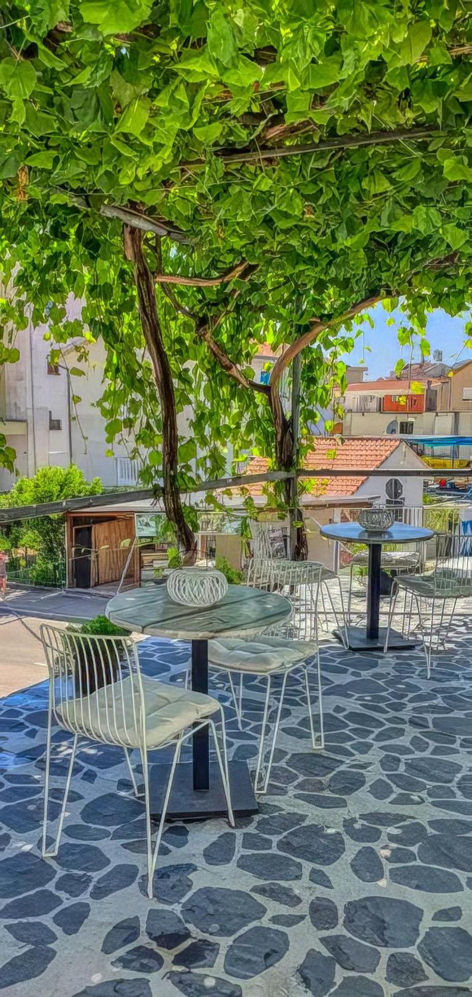 Apartment Terminal Budva